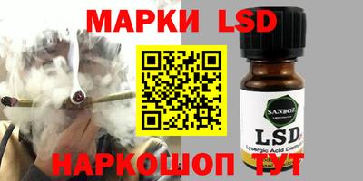 стаф Берёзовский