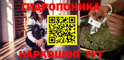стаф Берёзовский