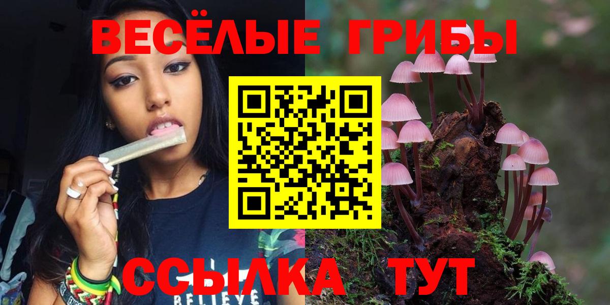 Галлюциногенные грибы мицелий Калининград